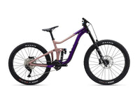 Standard Hire Bike