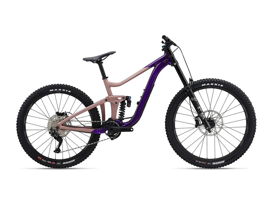Standard Hire Bike